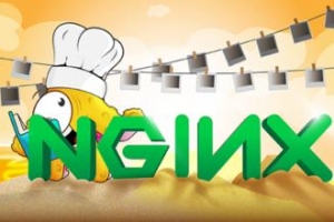 Nginx+FastCGI+PHP 开启PHPINFO的方法