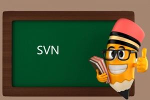 Ubuntu建立svn的方法-站长亲自测试过