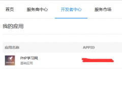 应用信息的填写