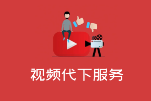 B站 |西瓜|油管|视频代下服务