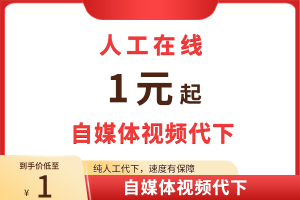自媒体视频代下|人工在线代下服务